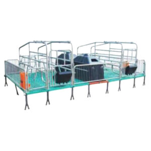 MODULO DE MATERINDAD PARA CERDAS (DOBLE)